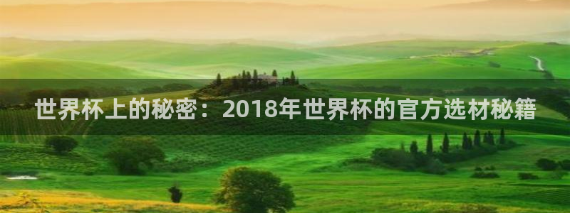 2026世界杯赛程时间表最新：世界杯上的秘密：2018年世界杯的官方选材秘籍