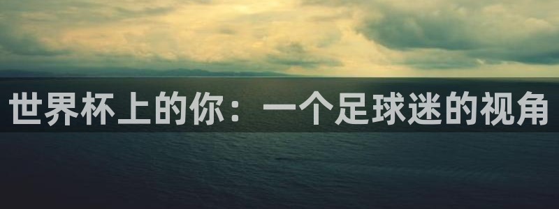 世界杯球赛：世界杯上的你：一个足球迷的视角
