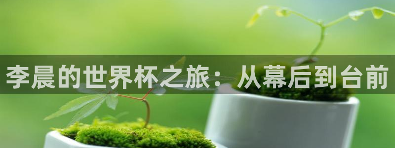 世界杯预选赛欧洲：李晨的世界杯之旅：从幕后到台前