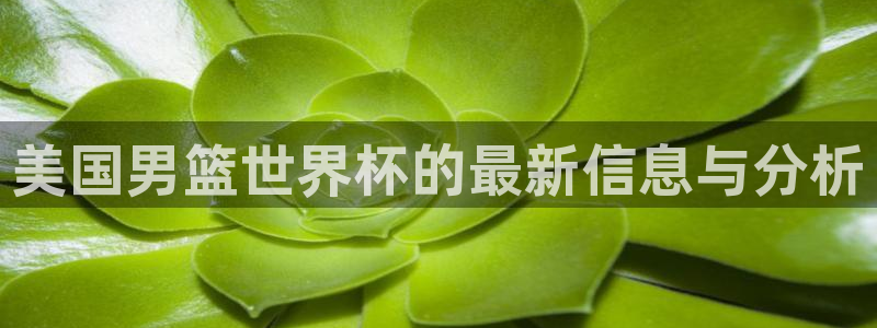 世界杯直播网:美国男篮世界杯的最新信息与分析