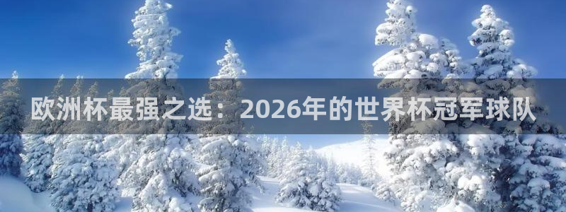 世界杯预选赛赛程：欧洲杯最强之选：2026年的世界杯冠军球队