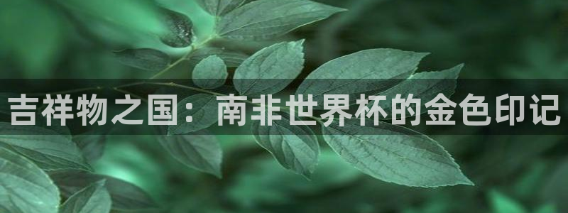 世界杯直播网：吉祥物之国：南非世界杯的金色印记