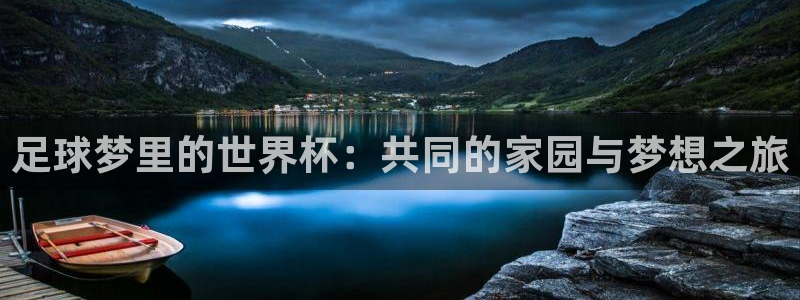 欧洲区世界杯预选赛：足球梦里的世界杯：共同的家园与梦想之旅