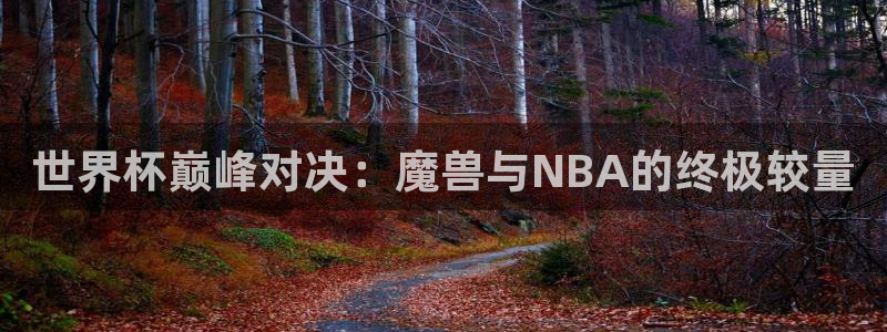 2026年足球世界杯赛程时间表：世界杯巅峰对决：魔兽与NBA的终极较量
