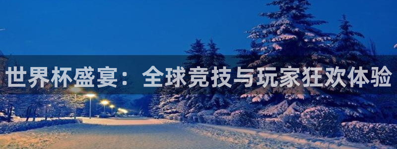 世界杯足球直播：世界杯盛宴：全球竞技与玩家狂欢体验