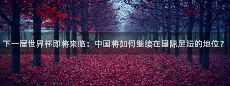 足球世界杯预选赛：下一届世界杯即将来临：中国将如何继续在国际足坛的地位？