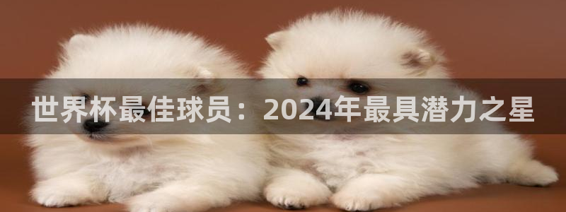 2026年世界杯直播平台：世界杯最佳球员：2024年最具潜力之星