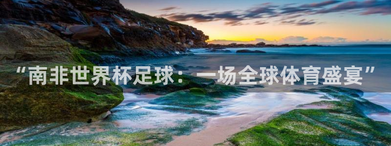 英格兰联赛杯直播：“南非世界杯足球：一场全球体育盛宴”