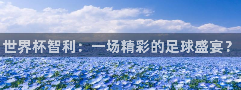 2026世界杯赛制：世界杯智利：一场精彩的足球盛宴？