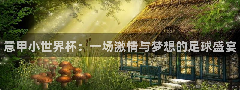 世界杯足球赛2026：意甲小世界杯：一场激情与梦想的足球盛宴