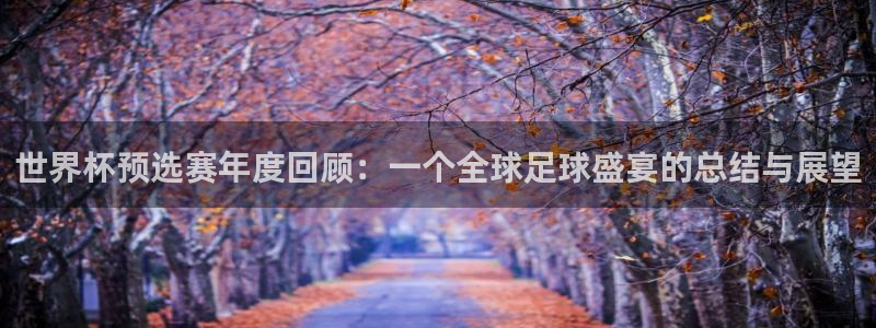世界杯亚洲区预选赛赛程：世界杯预选赛年度回顾：一个全球足球盛宴的总结与展望