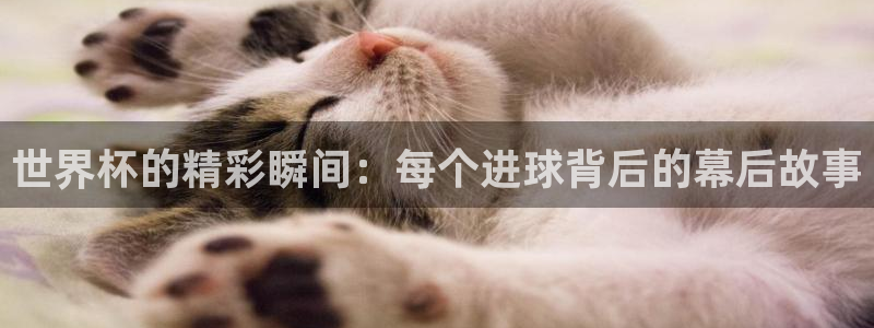 2026世界杯日期：世界杯的精彩瞬间：每个进球背后的幕后故事