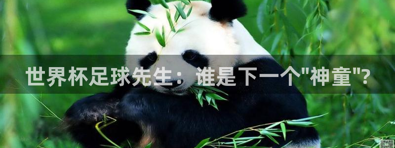世界杯第一场比赛：世界杯足球先生：谁是下一个\